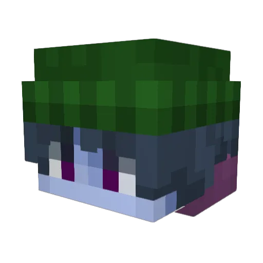 Manuelito369 Minecraft avatar head, 3D render
