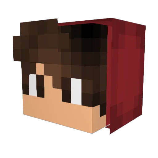 Many_3848 Minecraft avatar head, 3D render