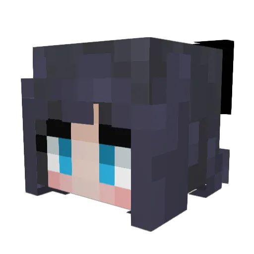 MaoXiaoMi Minecraft avatar head, 3D render