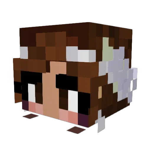 Maochiii Minecraft avatar head, 3D render