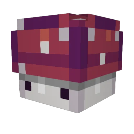 Maoeon237 Minecraft avatar head, 3D render