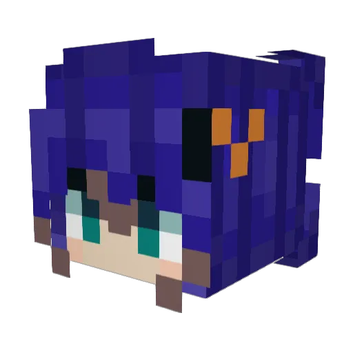 Maoist_cat Minecraft avatar head, 3D render