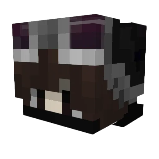 MaonoFdidi Minecraft avatar head, 3D render