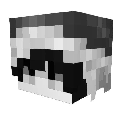 Maowels Minecraft avatar head, 3D render