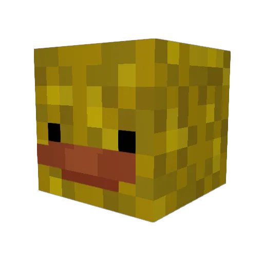 MapTester500 Minecraft avatar head, 3D render