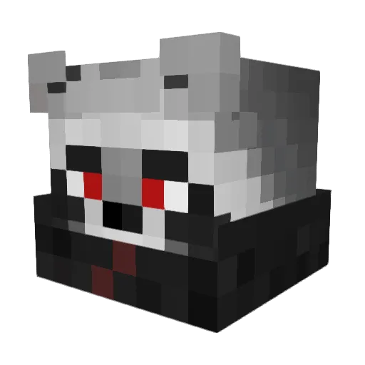 MapacheNc Minecraft avatar head, 3D render