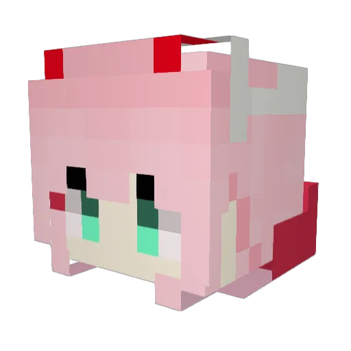 MapacheSC Minecraft avatar head, 3D render