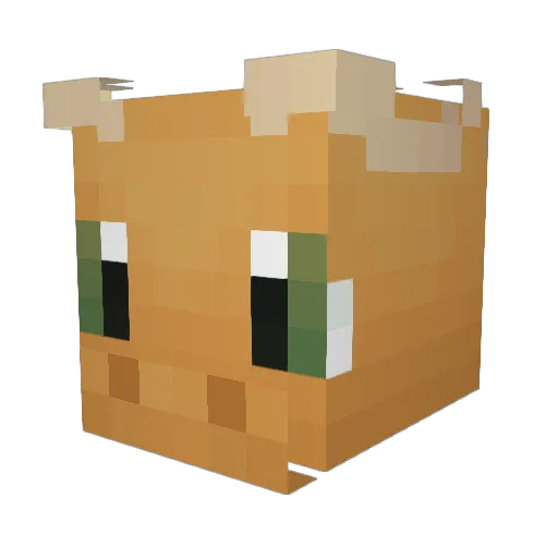Mapachito2706 Minecraft avatar head, 3D render