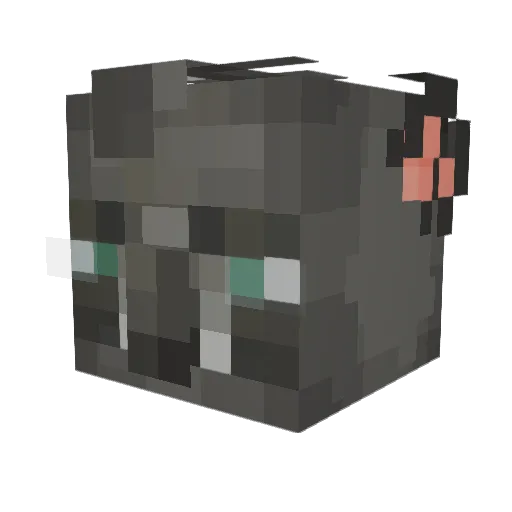 Mapasta_ Minecraft avatar head, 3D render