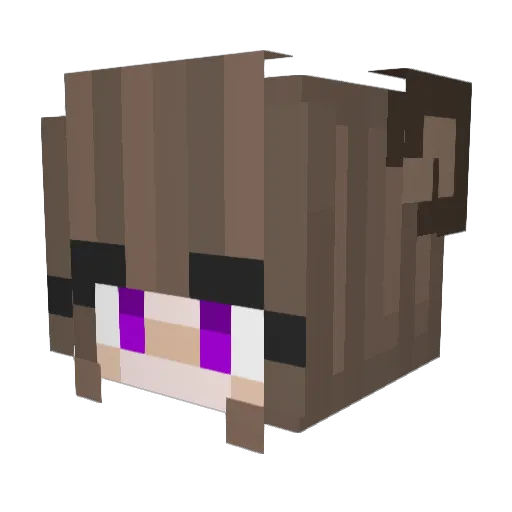 Mapi_Racco Minecraft avatar head, 3D render