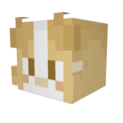 MapleSyrup_17 Minecraft avatar head, 3D render