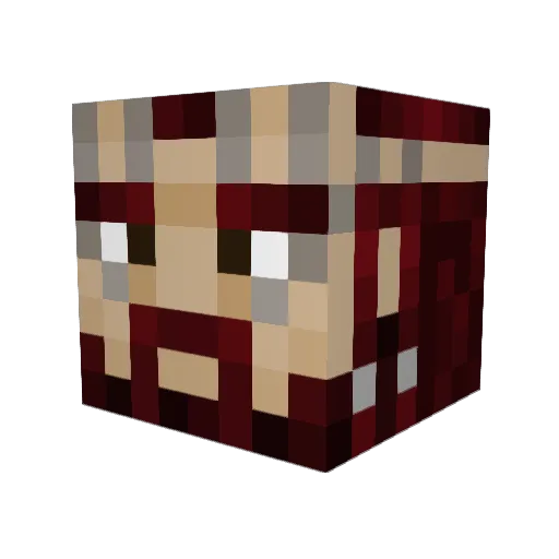 Maplegoose Minecraft avatar head, 3D render