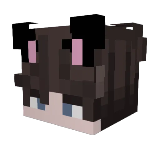 Maplemealer Minecraft avatar head, 3D render