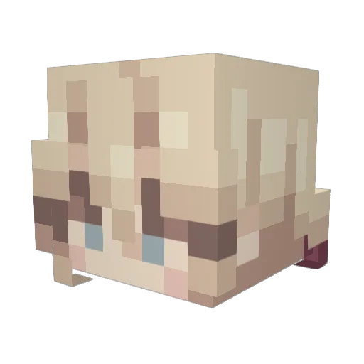 Mapuyc Minecraft avatar head, 3D render