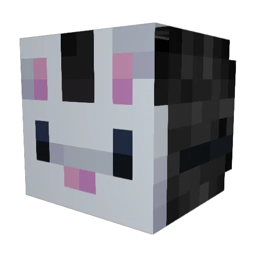 Mar00_ Minecraft avatar head, 3D render