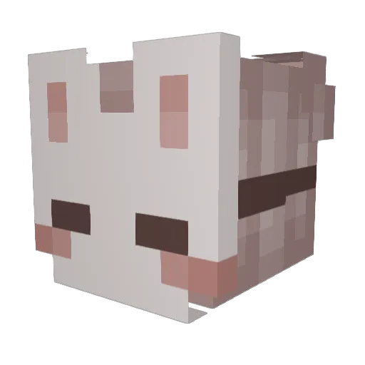 Mar0n69 Minecraft avatar head, 3D render