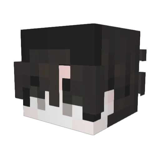 Mar10055 Minecraft avatar head, 3D render