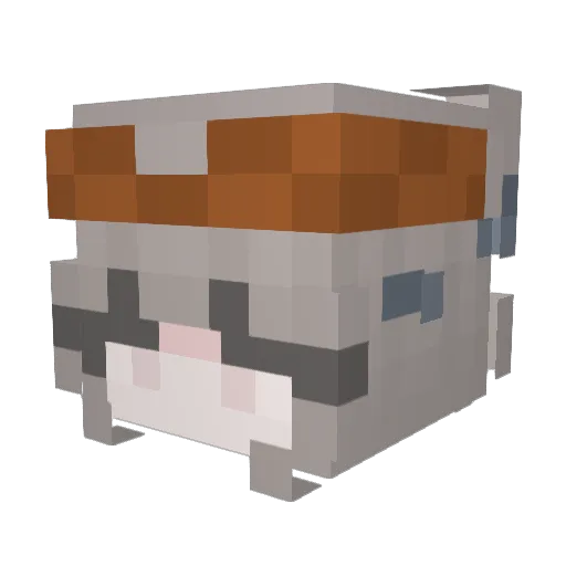 MarIowwwww Minecraft avatar head, 3D render
