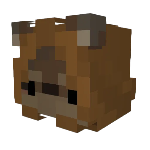 MarMar_ Minecraft avatar head, 3D render
