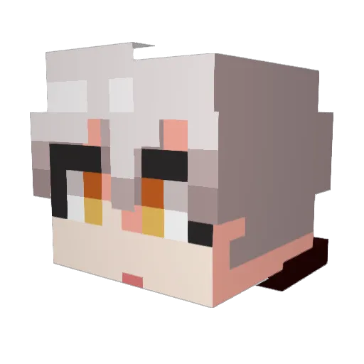 Mar__k00 Minecraft avatar head, 3D render
