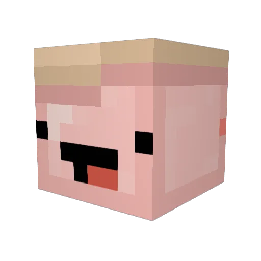 MaraPoptart Minecraft avatar head, 3D render