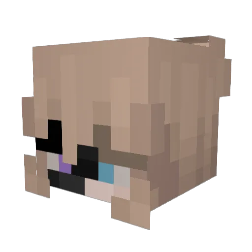Marabako Minecraft avatar head, 3D render