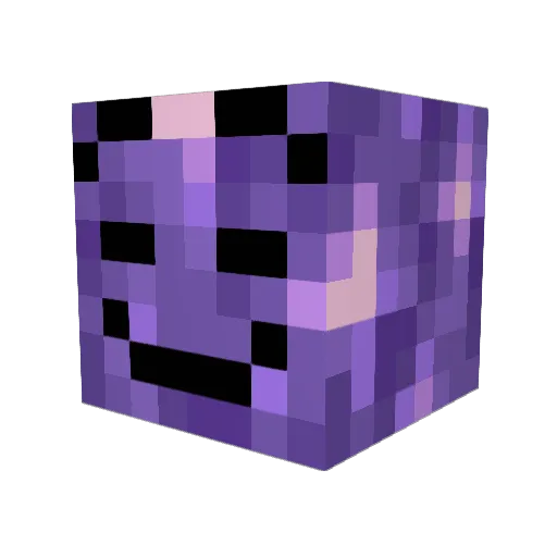 Maraeloo Minecraft avatar head, 3D render