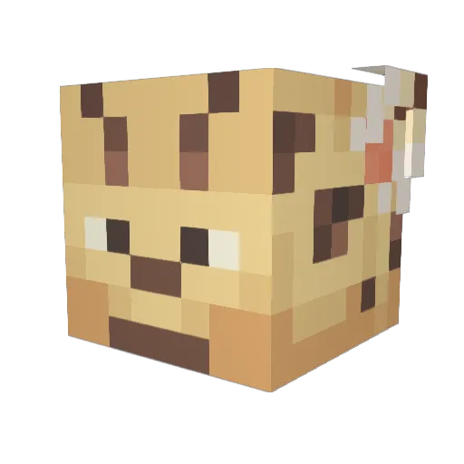 Maralexu Minecraft avatar head, 3D render