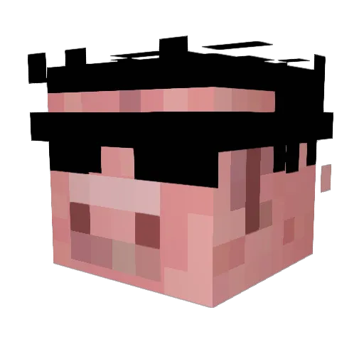 MarbleKhan94632 Minecraft avatar head, 3D render
