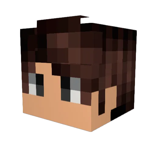 MarcFlameZ Minecraft avatar head, 3D render