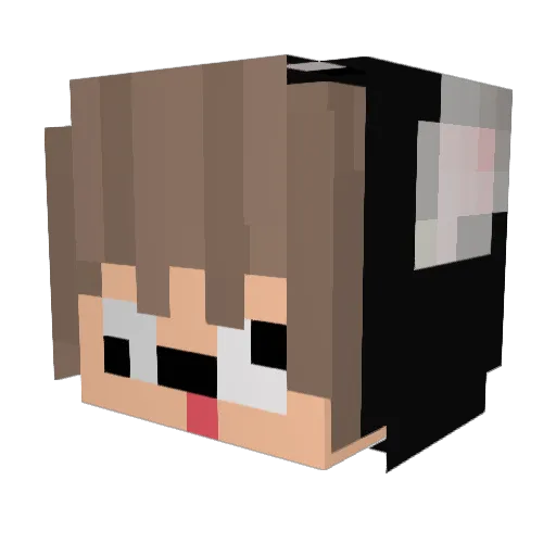 MarcPlayZ99 Minecraft avatar head, 3D render