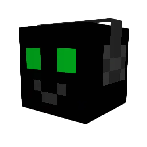 Marc_2411 Minecraft avatar head, 3D render