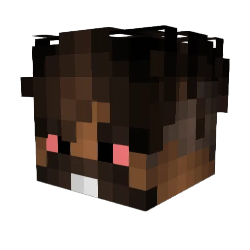Marcel_320 Minecraft avatar head, 3D render