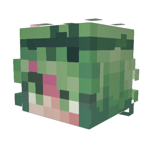 Marchpisces Minecraft avatar head, 3D render