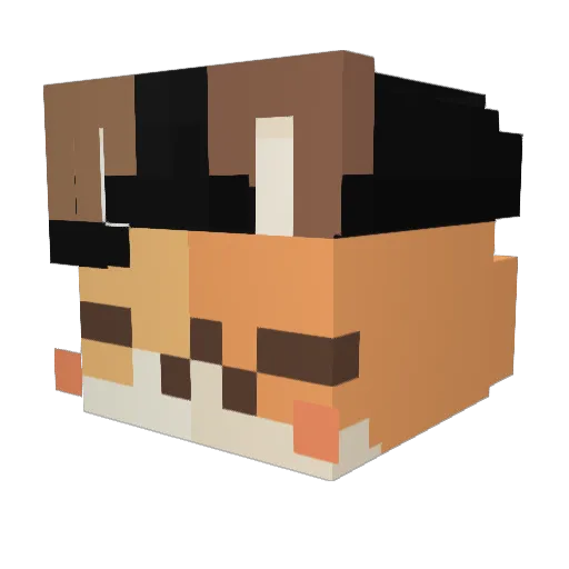 MarcioSobel Minecraft avatar head, 3D render