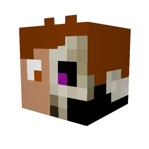 Marco9993 Minecraft avatar head, 3D render