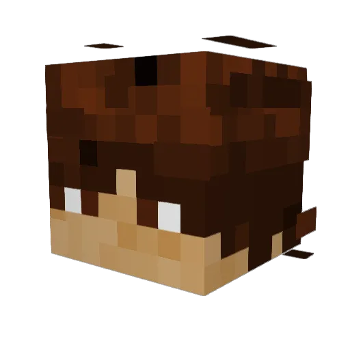 MarcoAndHain Minecraft avatar head, 3D render