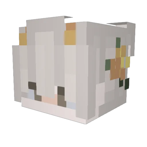 MarcoFishy Minecraft avatar head, 3D render