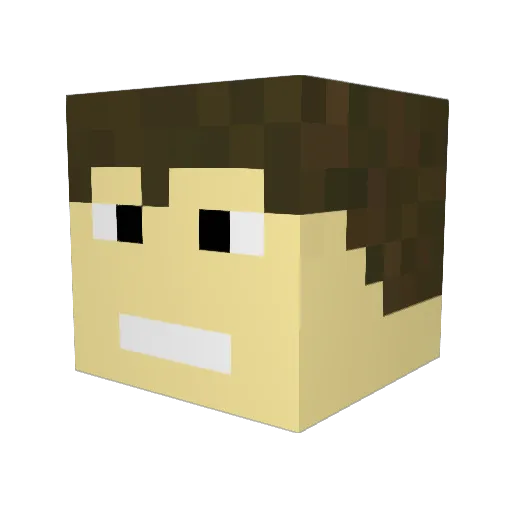 MarcoLeon Minecraft avatar head, 3D render