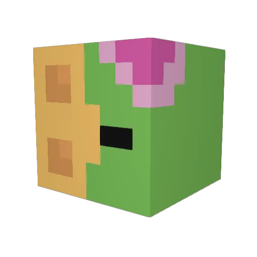 Marcos1001 Minecraft avatar head, 3D render