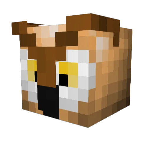 MarcosDOU2000 Minecraft avatar head, 3D render