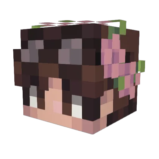 MarcosOmg14 Minecraft avatar head, 3D render