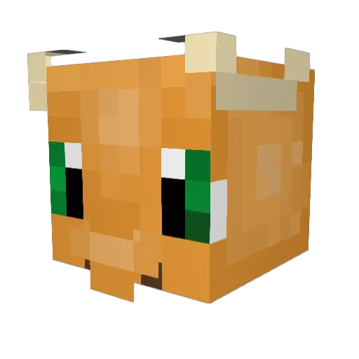 Marcotinics Minecraft avatar head, 3D render