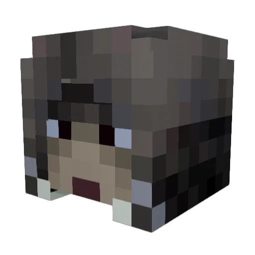 Marcross Minecraft avatar head, 3D render