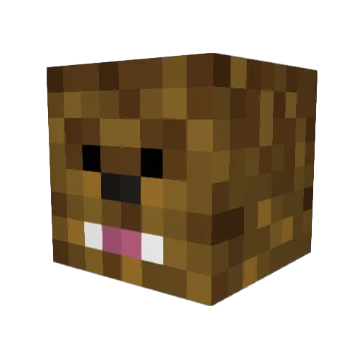 MarcusSmith05 Minecraft avatar head, 3D render