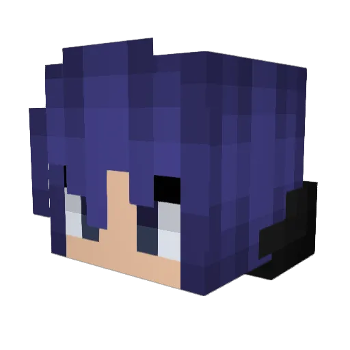MarcusWheelz Minecraft avatar head, 3D render