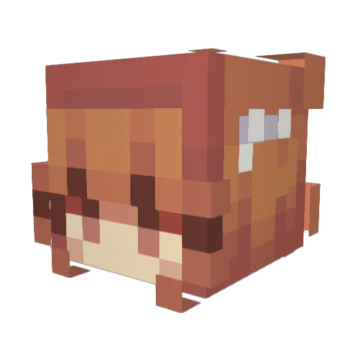 Marcus_77R Minecraft avatar head, 3D render