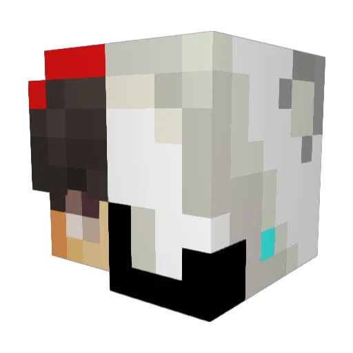 Marcus_819 Minecraft avatar head, 3D render