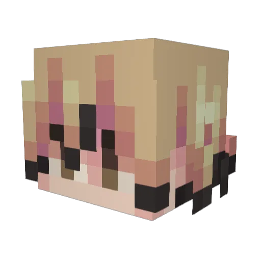 Marcus_Brown Minecraft avatar head, 3D render