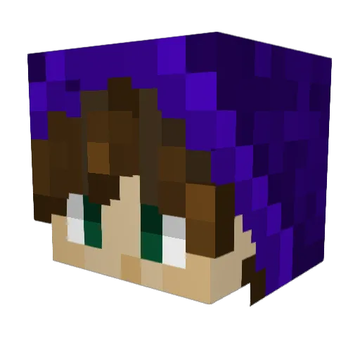 MarescialloDuck Minecraft avatar head, 3D render